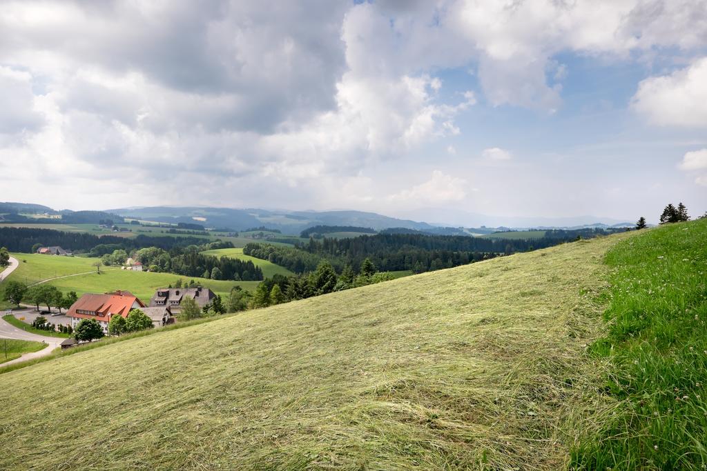 Gasthaus Sonne Neuhaeusle Sankt Märgen Kültér fotó